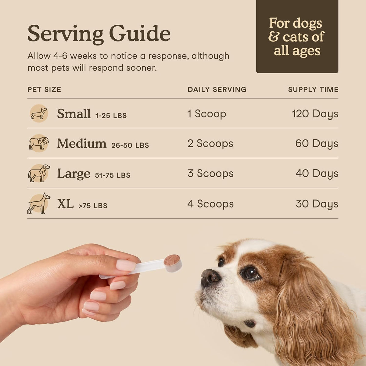 Mushroom Supplement for Dogs & Cats with Turkey Tail, 120 Scoops