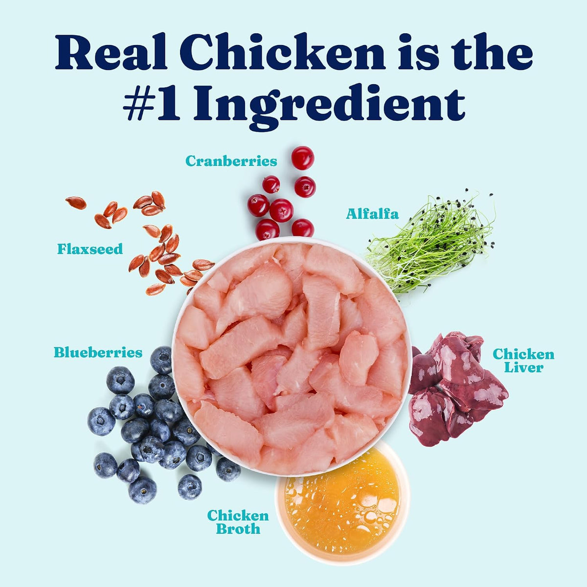 High Calorie Chicken Wet Dog Food, Adult & Puppies, 6Ct Cans