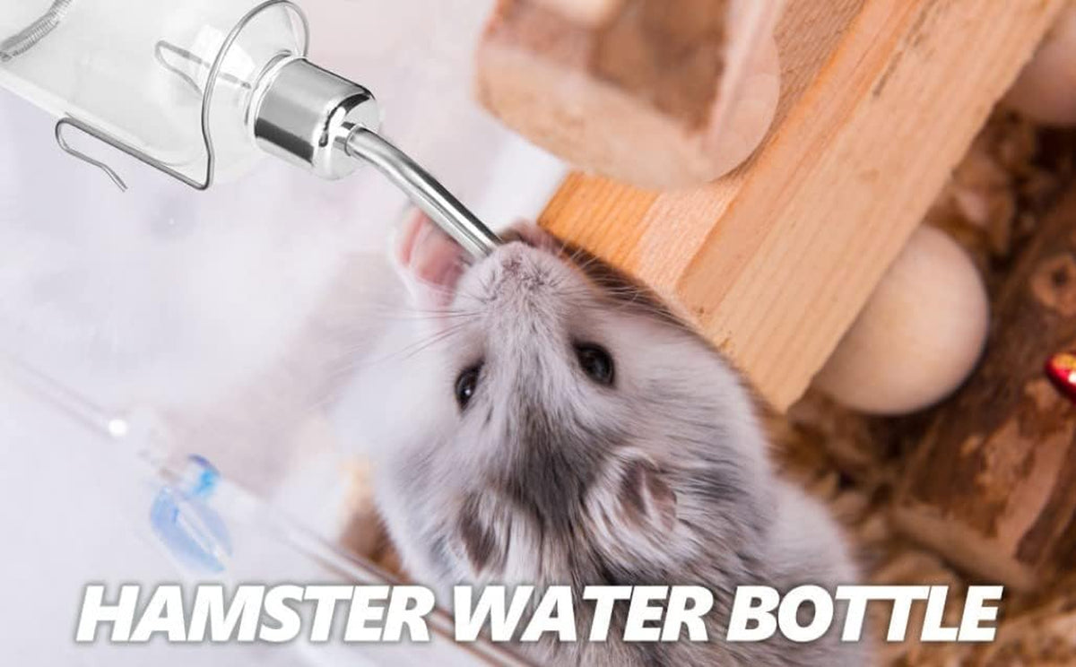 Parrot Water Feeder Automatic Pet Rabbit Feeder Parrot Bird Water Feeding Bottle Hamster Water Bottle Feeder with Stainless Steel Ball Nipple(S)