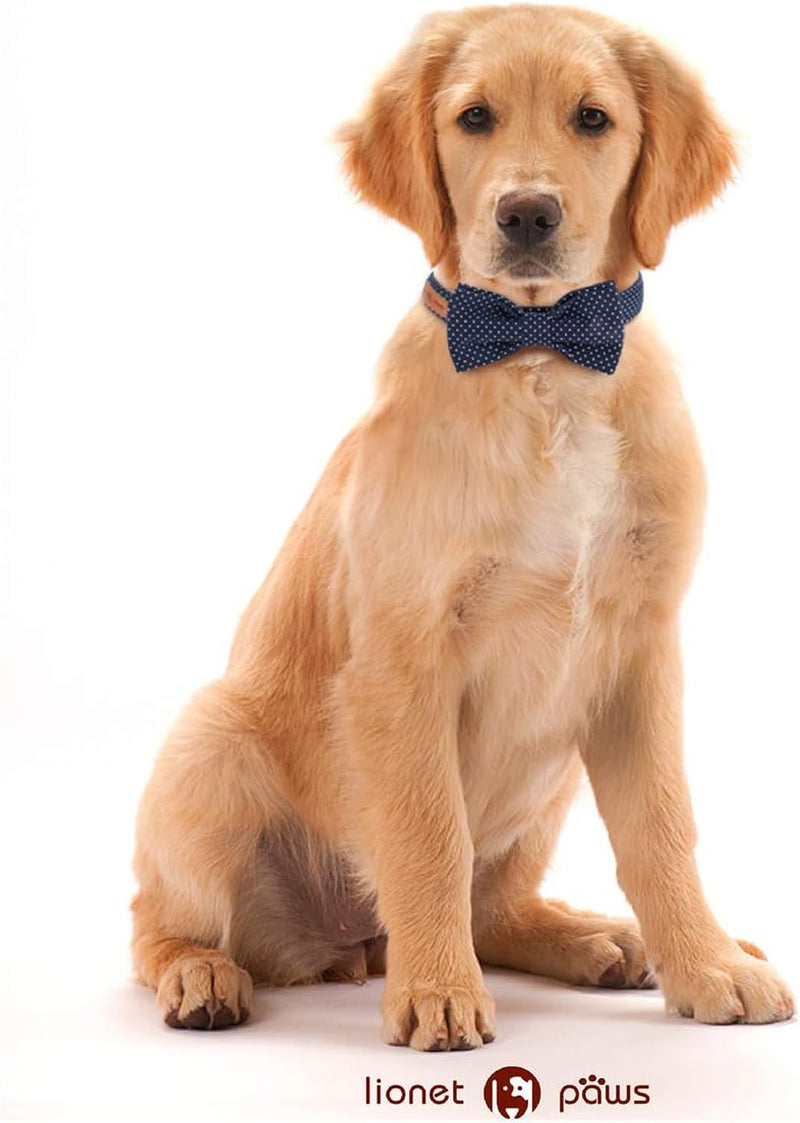 Boy Dog Collar with Bowtie, Comfortable Adjustable Cute Navy Blue Bow Tie Collar for Male Dogs Gift, Xlarge, Neck 16-26 Inches