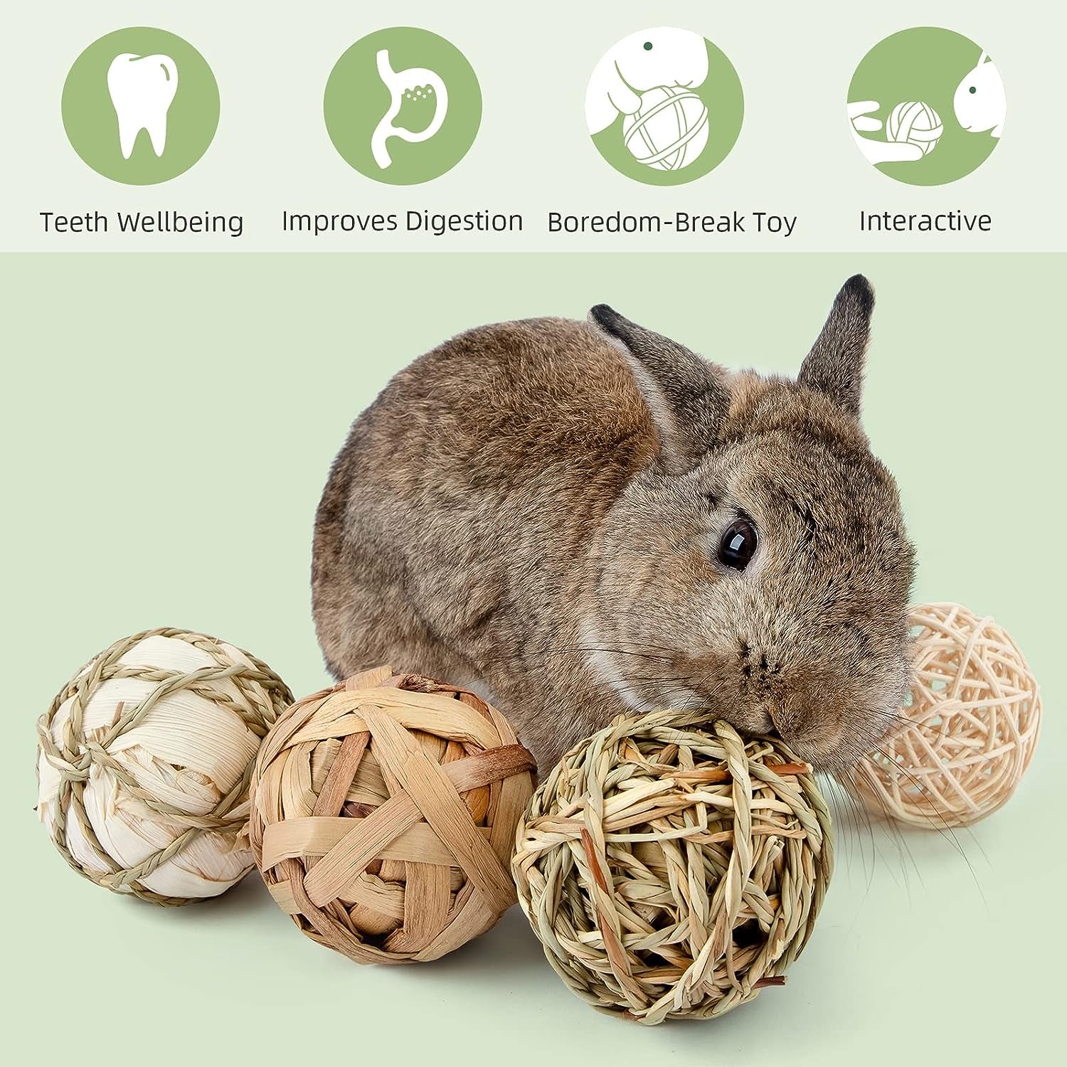 Small Animals Play Activity Balls Rolling Chew Toys(Pack of 8)