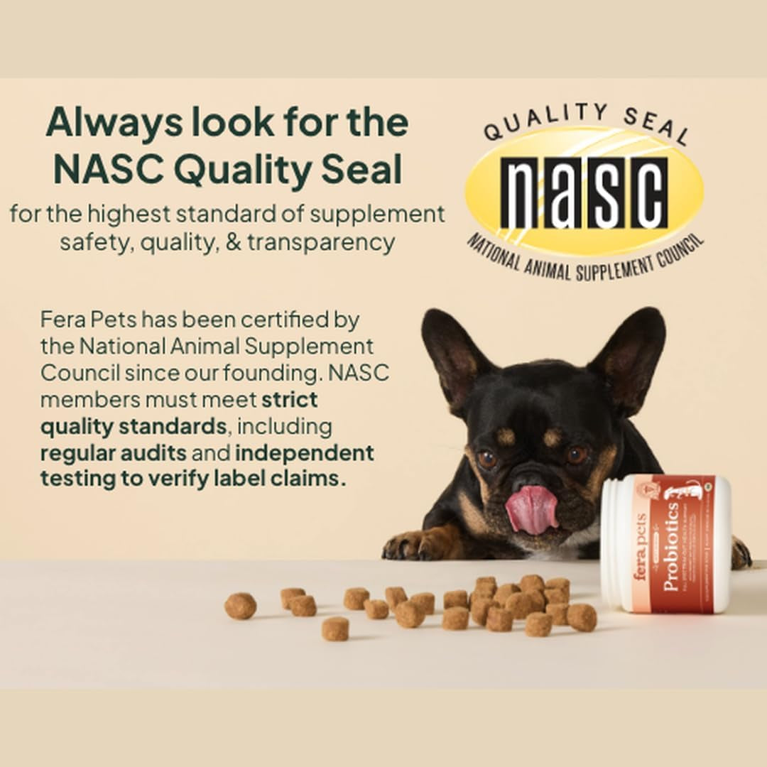 Mushroom Supplement for Dogs & Cats with Turkey Tail, 120 Scoops