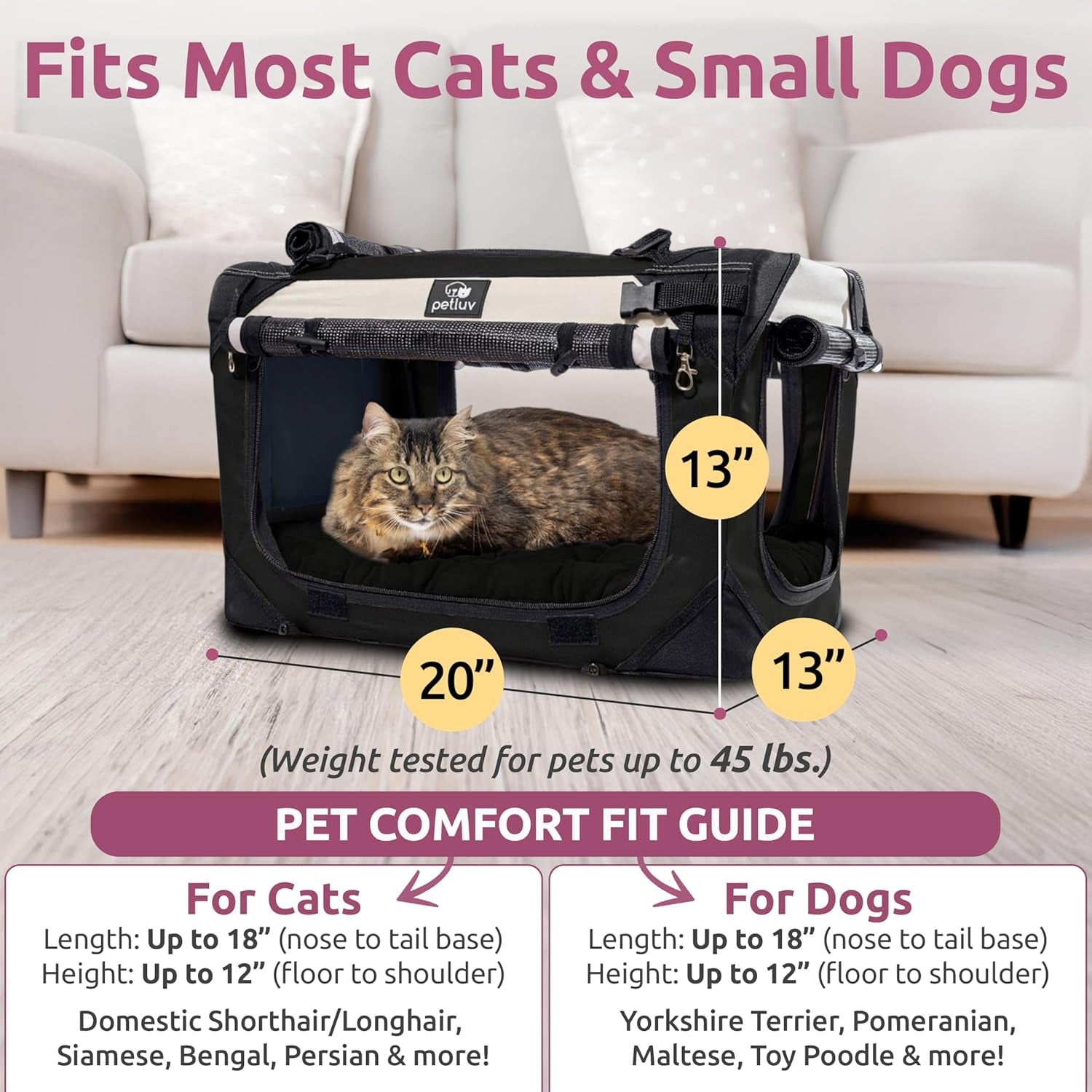 Cat & Dog Carrier, Fits Most Cats or Small Dog Comfortably, Medium, Black