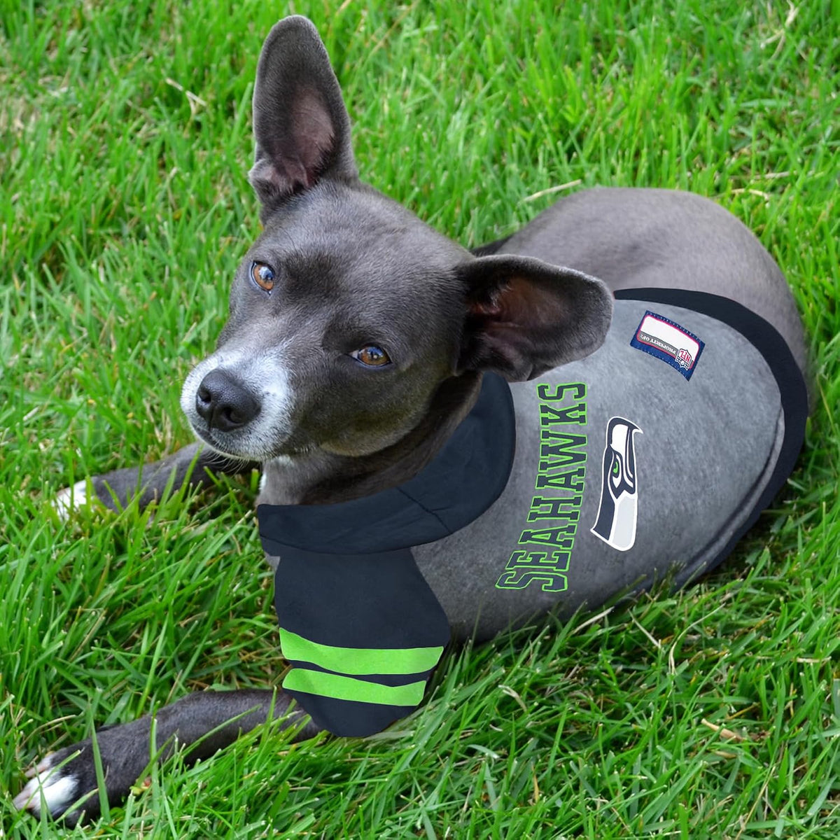 NFL Seattle Seahawks Hoodie for Dogs & Cats. | NFL Football Licensed Dog Hoody Tee Shirt, X-Small | Sports Hoody T-Shirt for Pets | Licensed Sporty Dog Shirt